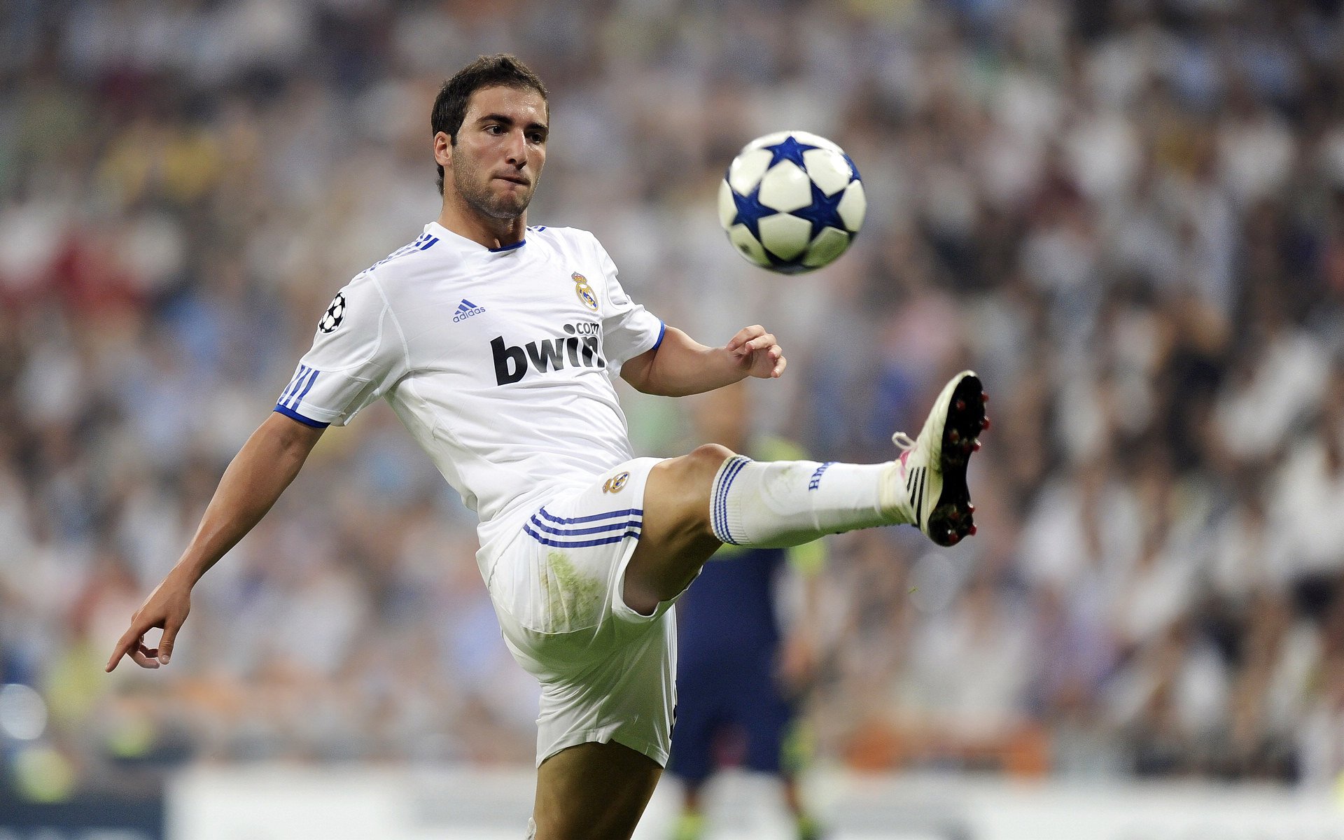 乔·波尔曼稳定发挥,帮助袋鼠队巩固防线与进攻