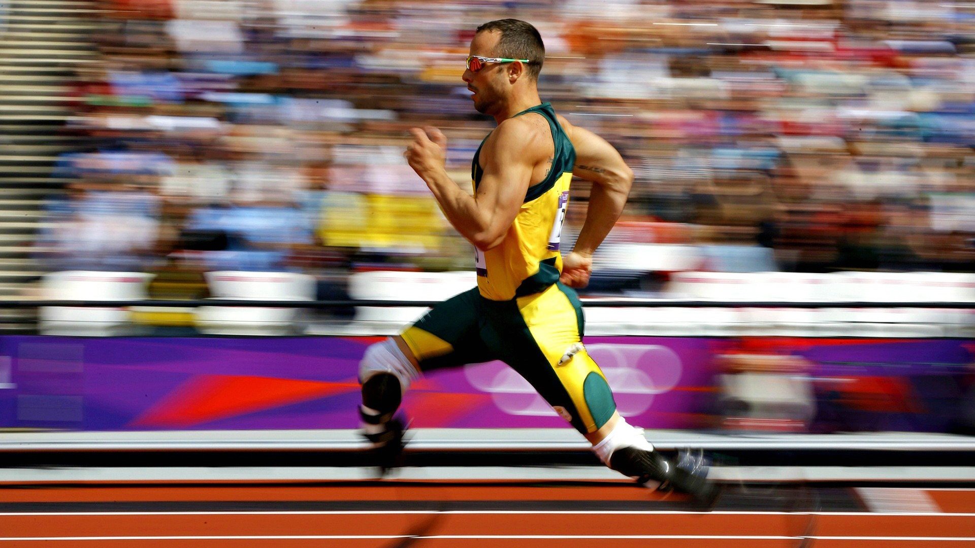 绿色场馆引领行业发展,未来足球场馆不仅环保还能智能,足球场设施